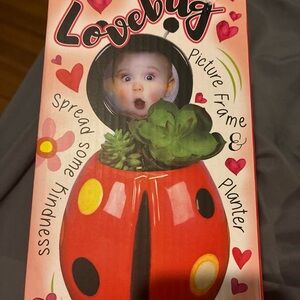 Lovebug Picture Frame & Planter - Red Ladybug Design